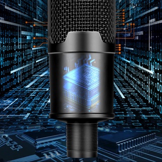 VINE™  Adjustable USB Interface Metal Recording Microphone Computer