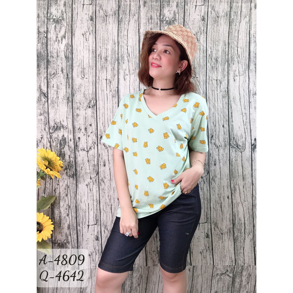 Áo thun BIG SIZE Tshirt Cổ tim CT 4809
