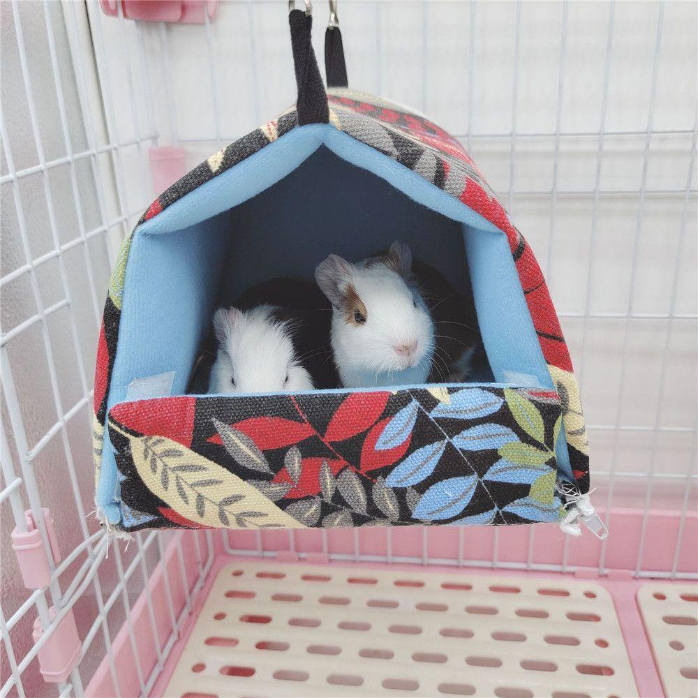 Võng Ngủ Cho Chuột Hamster 1 Ngủ Trong Mùa Đông Thoải Mái
