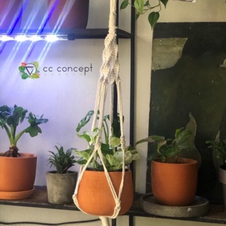 Dây treo chậu cây