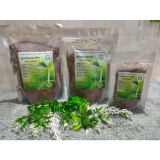 Hạt rau mầm củ cải trắng Newzeland hạt to 1kg