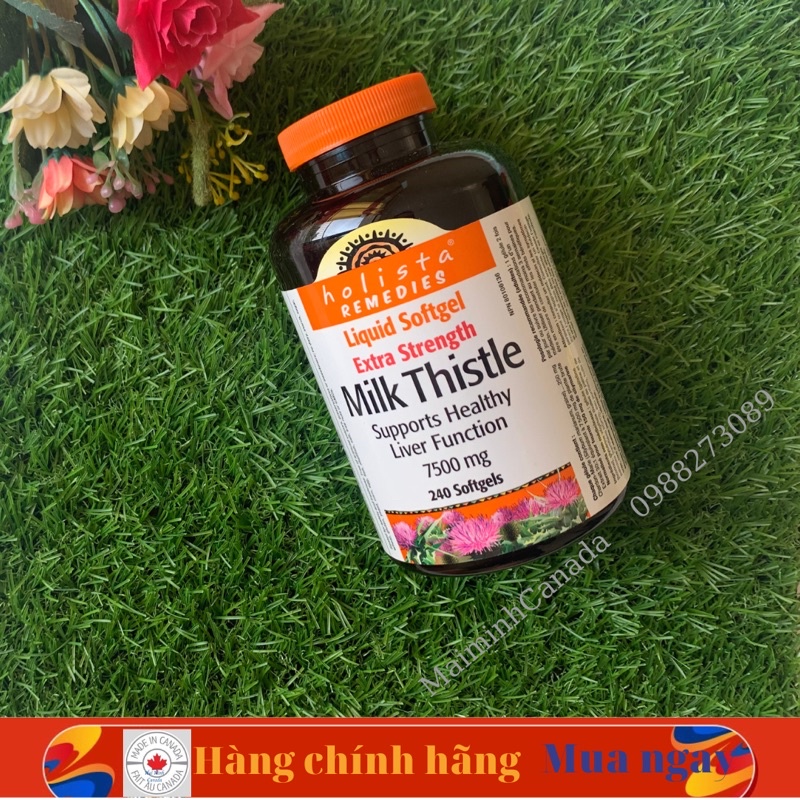 Viên uống bổ gan, giải độc gan Milk Thistle Holista 240 viên; Date 2027