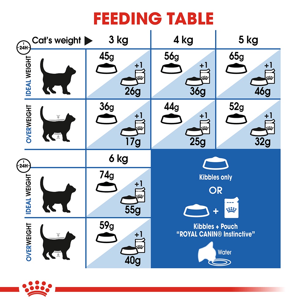 Thức ăn hạt cho mèo trưởng thành trong nhà - Royal Canin Indoor 27