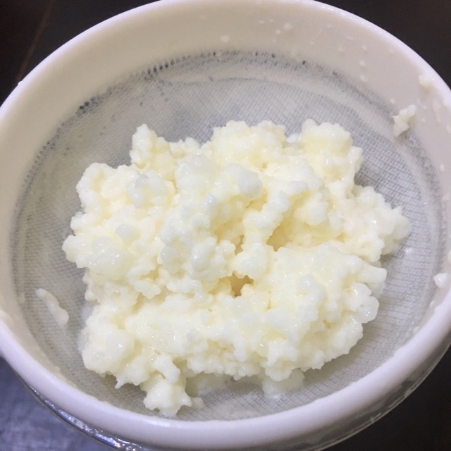 Nấm sữa kefir-nấm sữa Hi Lạp