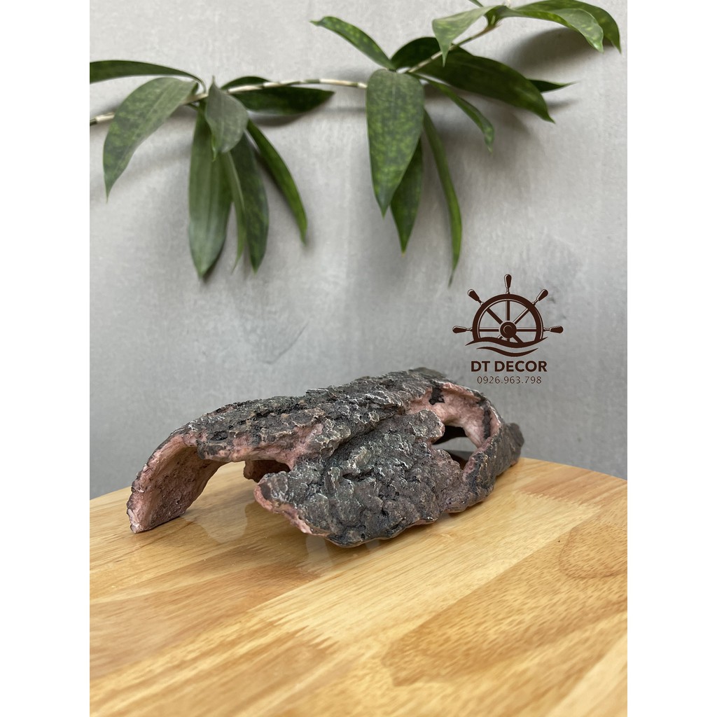 Miếng gỗ làm hang trang trí bể cá tép