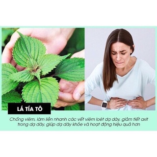 Bột tía tô 500gr