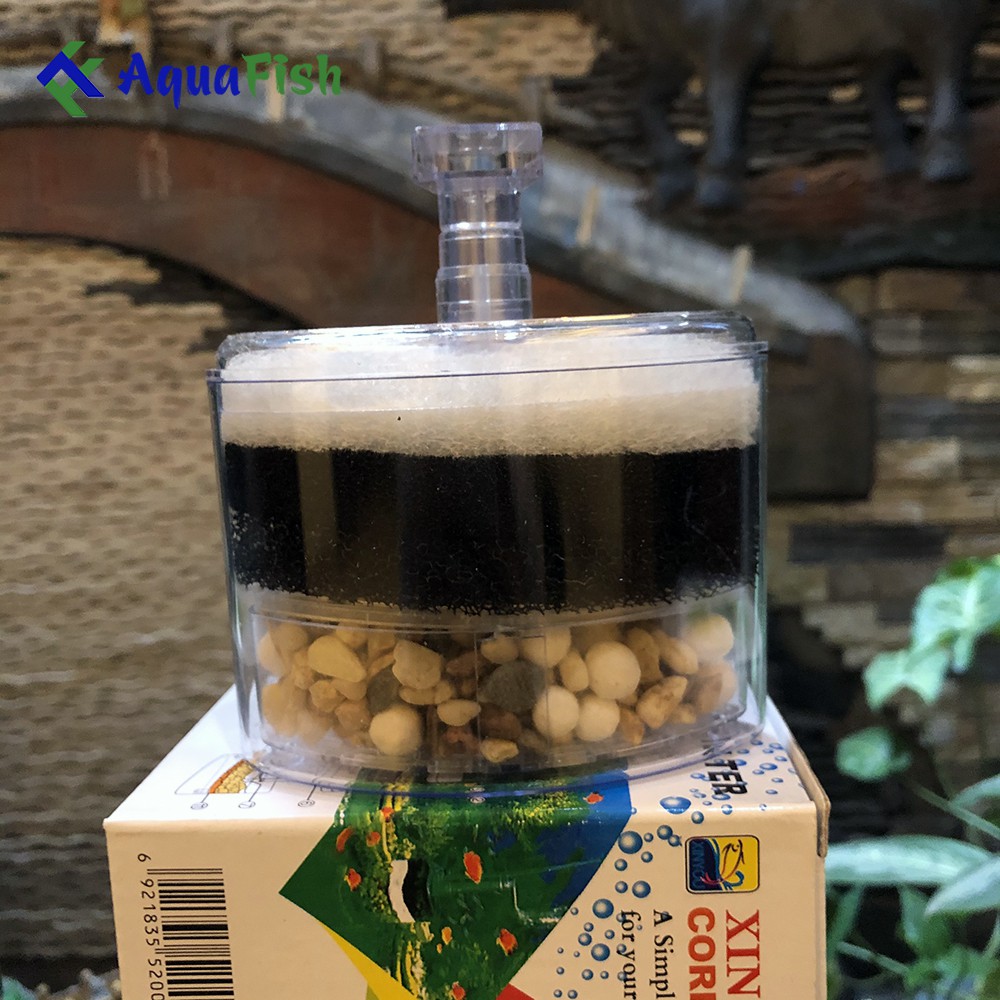 Lọc Vi Sinh XY 2008 (dụng cụ lọc chuyên dụng cho cá 7 màu)