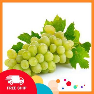 gói 20 hạt giống nho lùn xanh