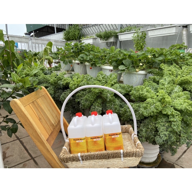 Chế phẩm sinh học vi sinh Hanabi Bio BT ngăn ngừa sâu, côn trùng gây hại kết hợp phân bón hữu cơ