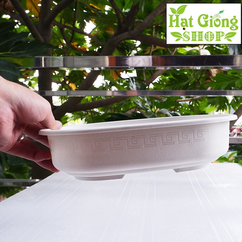 Chậu nhựa hình oval kt 27x7