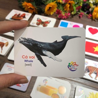 Bộ Thẻ Học Thông Minh Dành Cho Bé