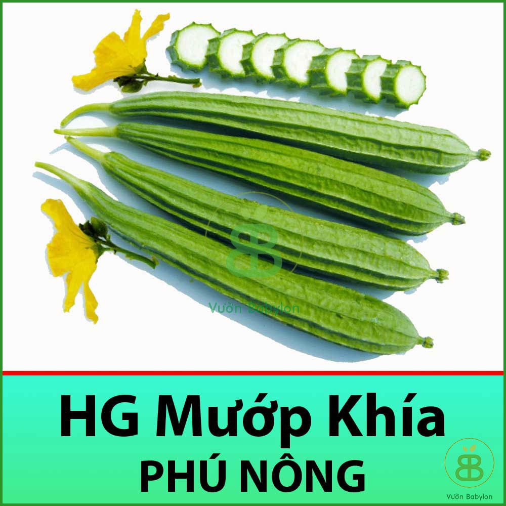 Hạt Giống Mướp Khía 1Gr Dễ Trồng, Nhiều Dinh Dưỡng