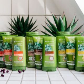 Yves Rocher - Dầu gội Pháp đủ loại cho mọi loại tóc 300ml mẫu mới