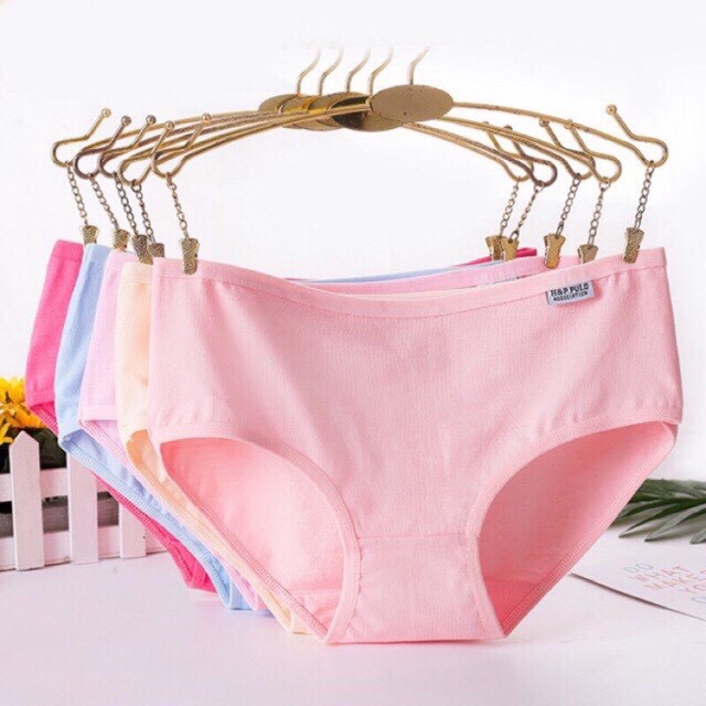 Quần Lót Nữ Cotton Pulo Xuất Mỹ QL10 (Size Từ 38-68kg)