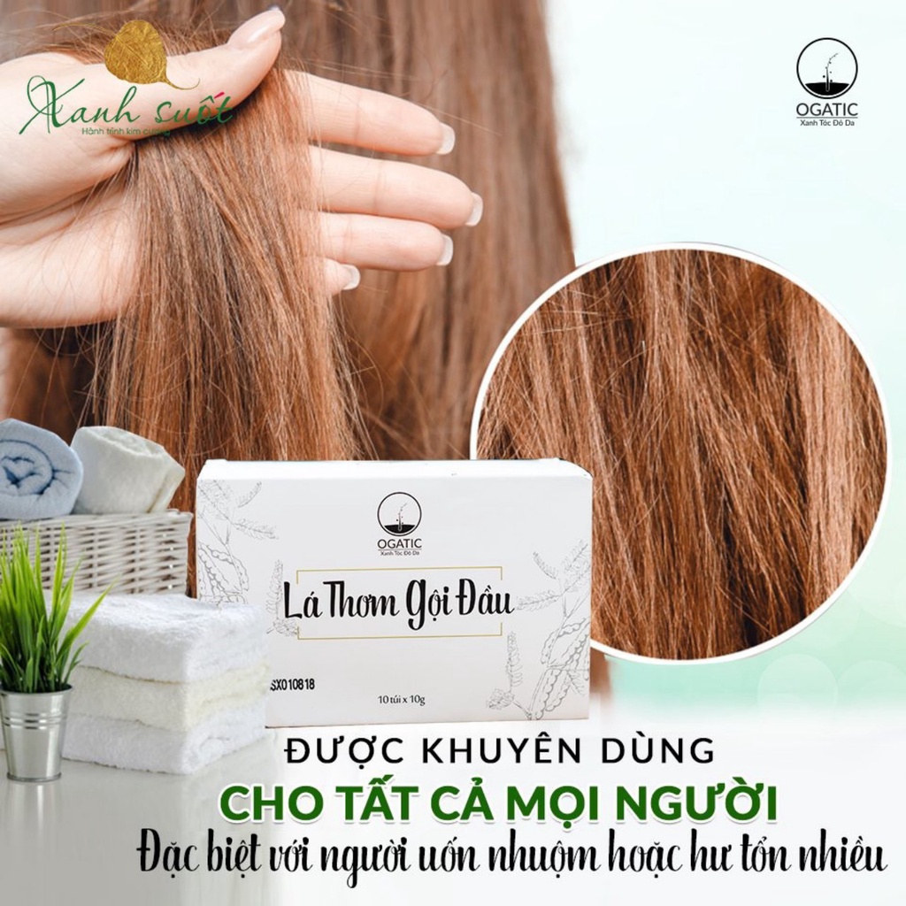 Thảo dược Gội đầu túi lọc (7 ngày gội ) Bồ kết, chanh rừng, sả, cỏ mần trầu - Sạch gàu, Hết rụng tóc, nấm ngứa da đầu