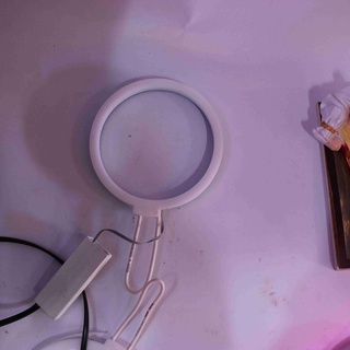 Hào Quang Led Neon 30 Cm (NCDS-0126)