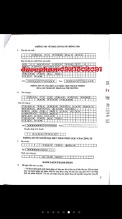 LIS- tinh chất thông đỏ Pháp cô đặc