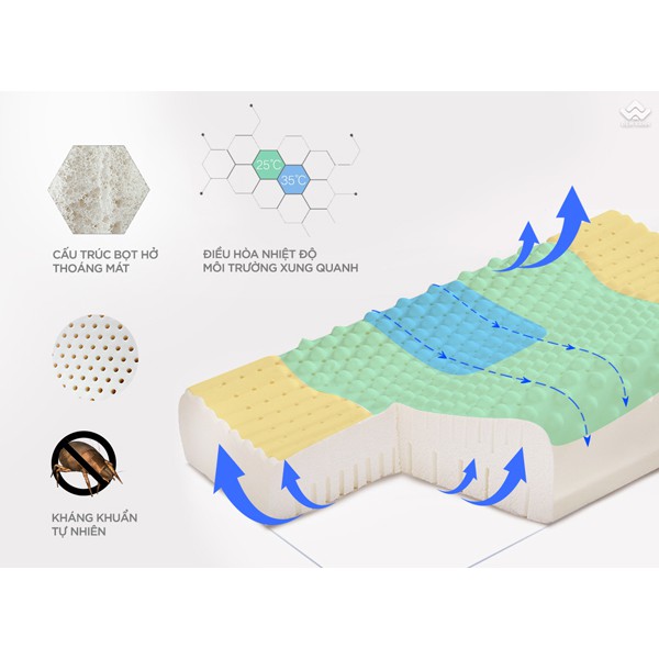 [ẢNH THẬT] Gối Cao Su Massage 3 vùng Olympia Contour 3'zone (Chính Hãng)