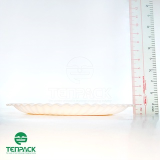 50 Dĩa giấy 17cm