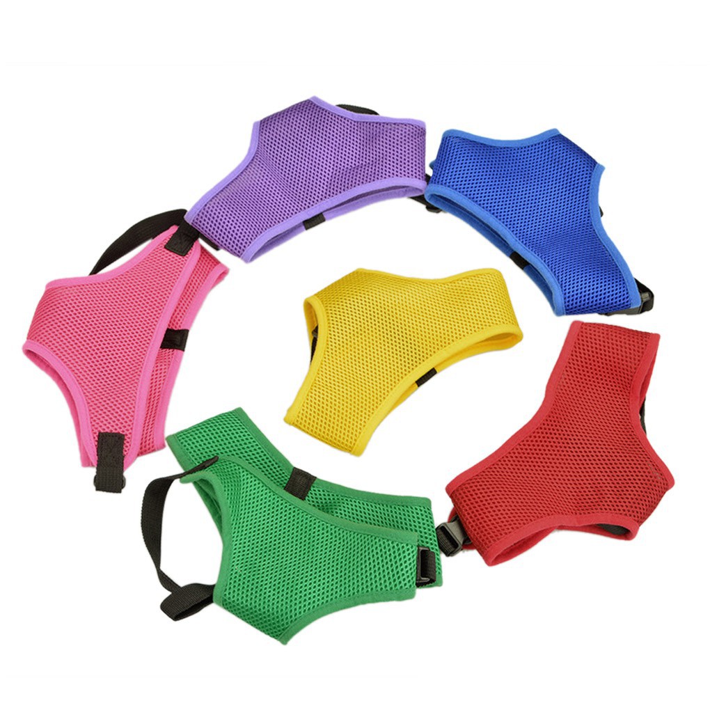 Vest thắt lưng an toàn cho thú cưng