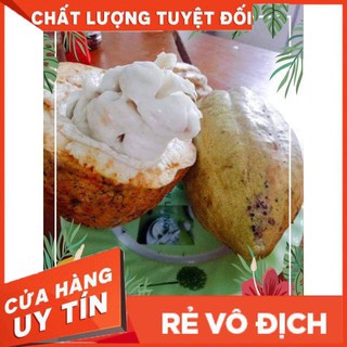 Bột cacao Đăk lăk 500g