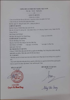 Mầm đậu nành Đô Đô
