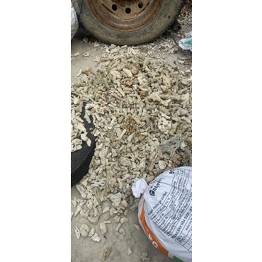 SAN HÔ LỌC NƯỚC HỒ CÁ TĂNG PH