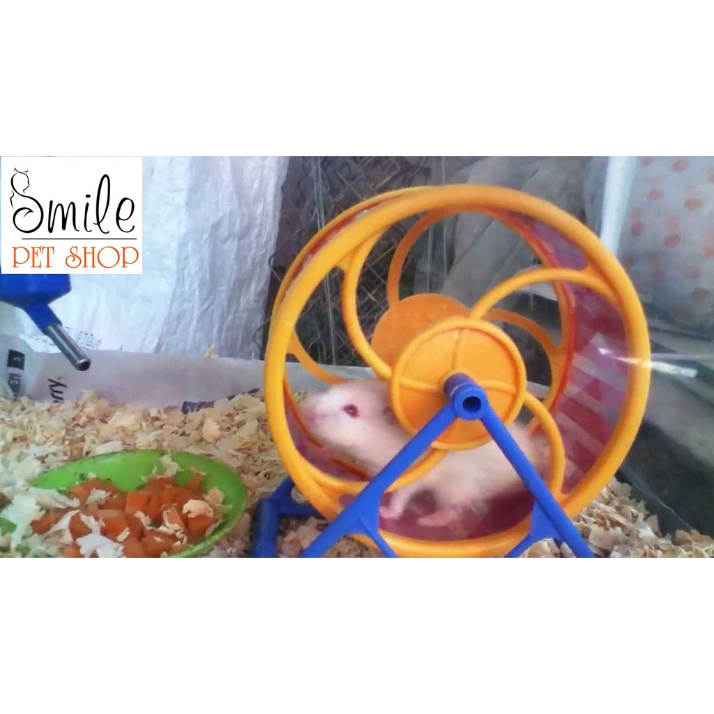 [GIÁ SỈ] Phụ Kiện Hamster - Vòng Whel Hamster - Vòng chạy nhựa cho Hamster - Smile Pet Shop