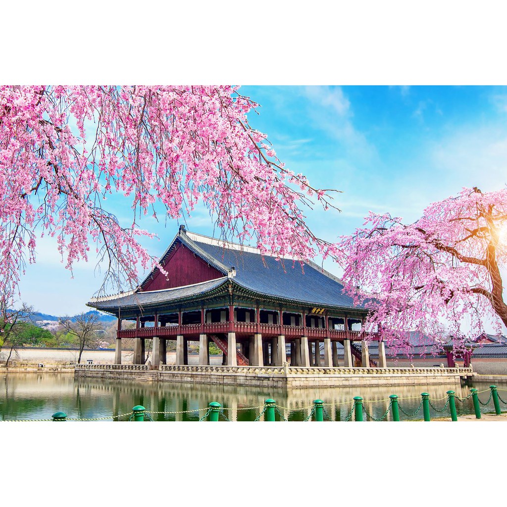 Tranh dán tường 3D phong cảnh Hàn quốc - phong cảnh mùa xuân Hàn quốc - vải  lụa kim sa - kích thước theo yêu cầu | Shopee Việt Nam