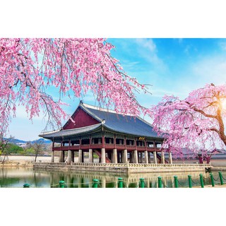 Tranh dán tường 3D phong cảnh Hàn quốc - phong cảnh mùa xuân Hàn quốc - vải lụa kim sa - kích thước theo yêu cầu
