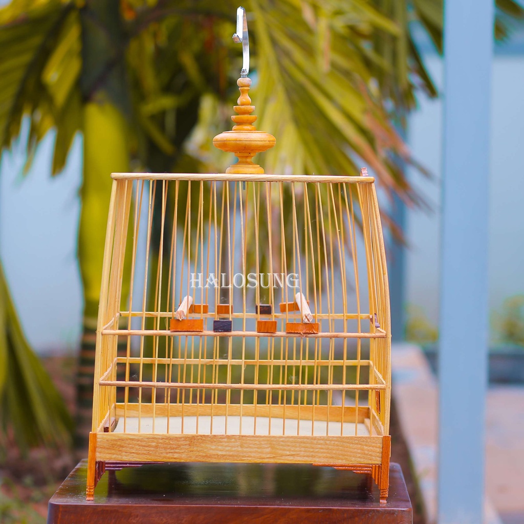 Lồng chim chào mào Halosung lồng chim thái đấu gỗ cao cấp kèm phụ kiện LC27