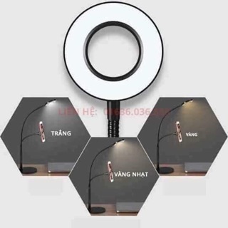 Bộ dụng cụ livetrym
