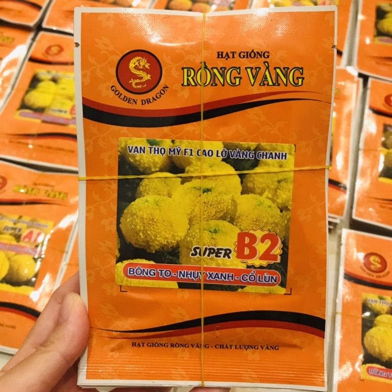 Gói lớn - Hạt giống Vạn thọ MỸ F1 hiệu Rồng Vàng