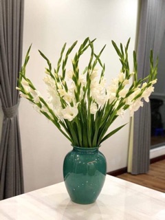 LỌ HOA CHUM ( CẮM LAY ƠN, SEN ...)