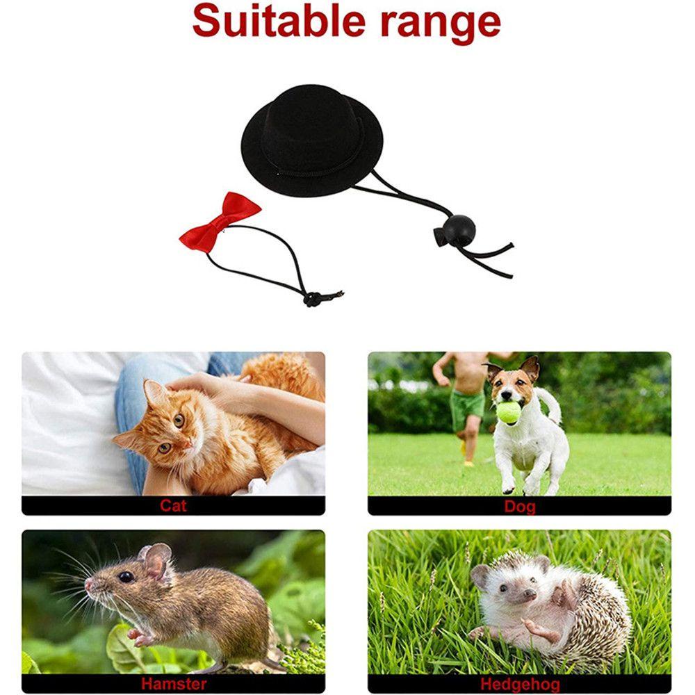 Nơ Cài Đầu Cho Chuột Hamster Đáng Yêu