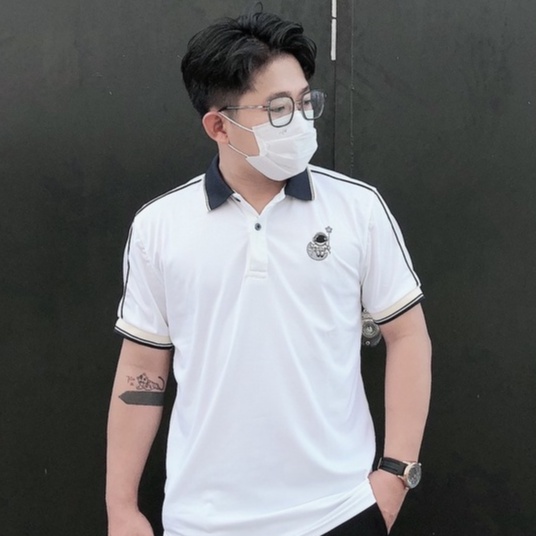 Áo thun nam POLO thiết kế vải cá sấu cotton cao cấp ngắn tay cực sang trọng và lịch lãm NICEMENCS19