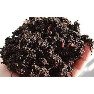 Phân trùn quế 10kg