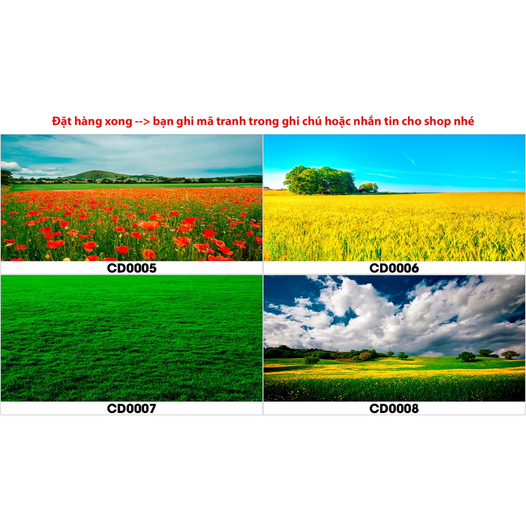 Tranh hồ cá CD cánh đồng có keo sẵn