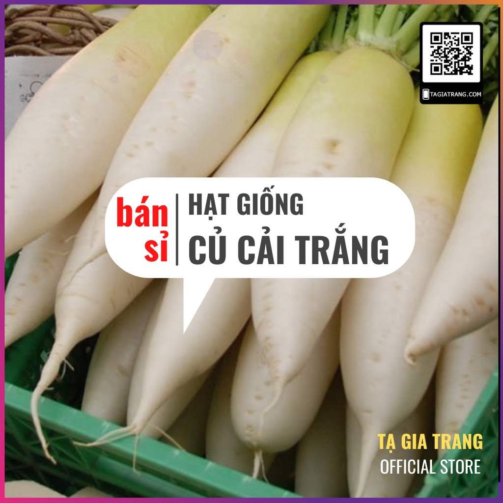 [Bán sỉ] - Hạt giống củ cải trắng trồng năng suất, ăn ngon - Gói 100g/ 50g