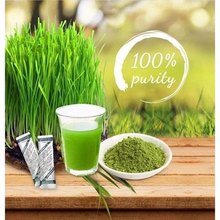 Bột mầm lúa mạch non Grass Barley Nhật Bản