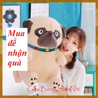 Gấu Bông Chó Pug ⚡ FREESHIP ⚡ Gấu Bông Hình Chó Pug Đáng Yêu