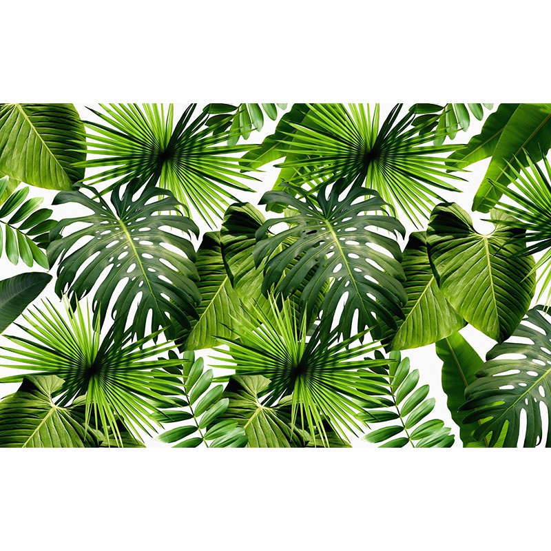 Tranh phông nền chụp ảnh trang trí spa HD Lá cây nhiệt đới xanh mát HOP-16372918 Kim sa dán tường