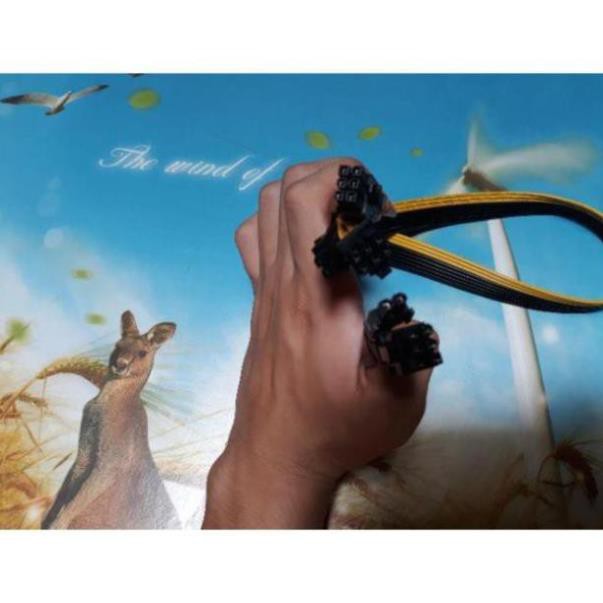 Dây 6 pin ra 2 đầu 8 ( 6+2)  pin cho nguồn server