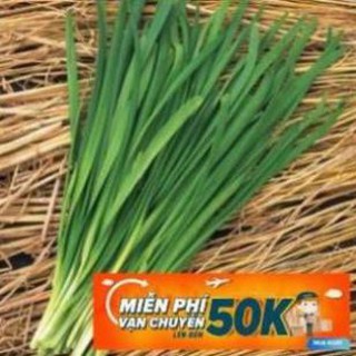 1g Hạt giống Hẹ LuckyseadTG
