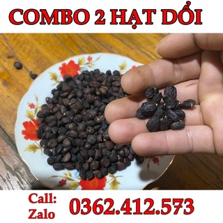 Combo 2 hạt dổi nếp hòa bình | đặc sản hạt dổi thơm hòa bình