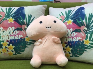 Gấu pick me size 25cm