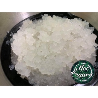 Nấm kefir nước dừa