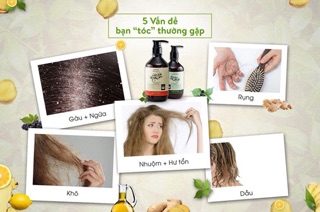 Dầu gội gừng