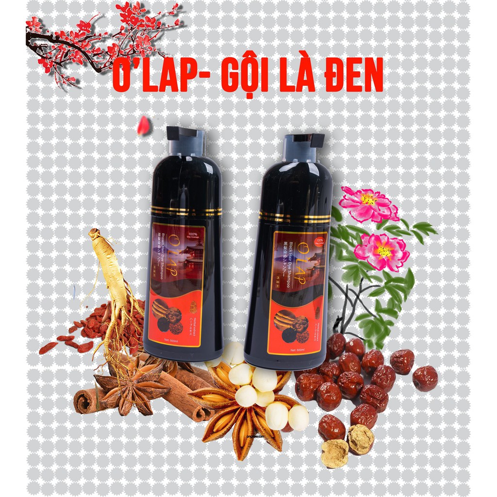 [Hàng Chính Hãng]Dầu Gội O' Lap Sô 1 Nhật Bản Phủ Bạc 100% | BigBuy360 - bigbuy360.vn