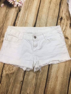 Combo áo len + phông+ sóc bò 190k